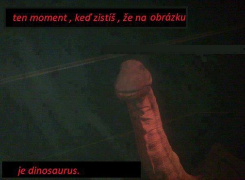 Príspevok 20438
